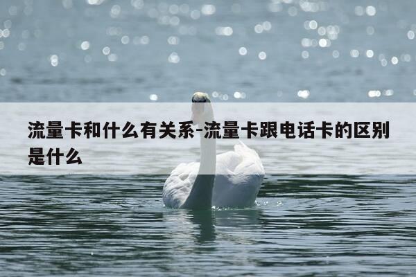 流量卡和什么有关系-流量卡跟电话卡的区别是什么-第1张图片-优惠活动网 流量卡和什么有关系-流量卡跟电话卡的区别是什么-第1张图片-优惠活动网
