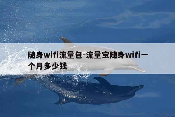 随身wifi流量包-流量宝随身wifi一个月多少钱-第1张图片-优惠活动网