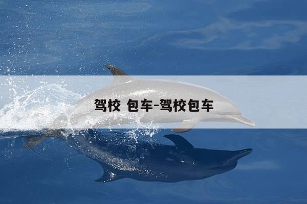 驾校 包车-驾校包车-第1张图片-优惠活动网