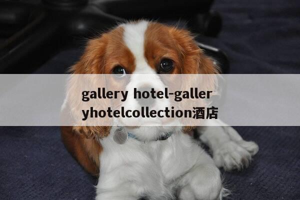 gallery hotel-galleryhotelcollection酒店-第1张图片-优惠活动网