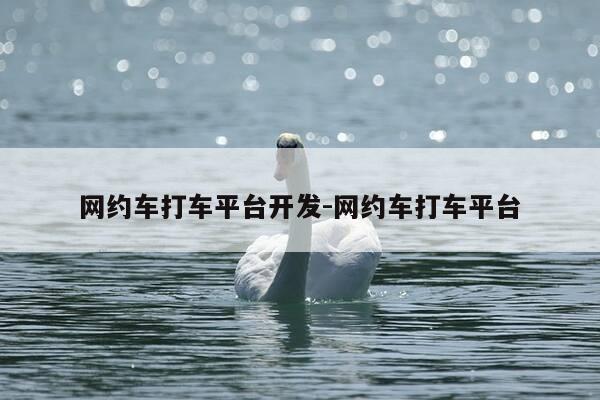 网约车打车平台开发-网约车打车平台-第1张图片-优惠活动网 网约车打车平台开发-网约车打车平台-第1张图片-优惠活动网