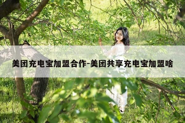 美团充电宝加盟合作-美团共享充电宝加盟啥-第1张图片-优惠活动网