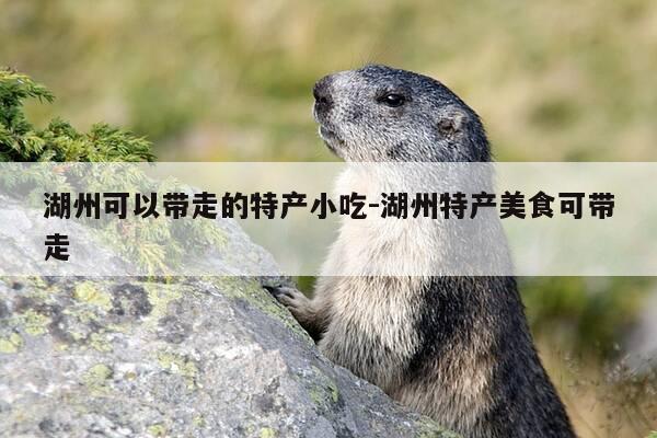 湖州可以带走的特产小吃-湖州特产美食可带走-第1张图片-优惠活动网