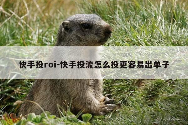 快手投roi-快手投流怎么投更容易出单子-第1张图片-优惠活动网 快手投roi-快手投流怎么投更容易出单子-第1张图片-优惠活动网