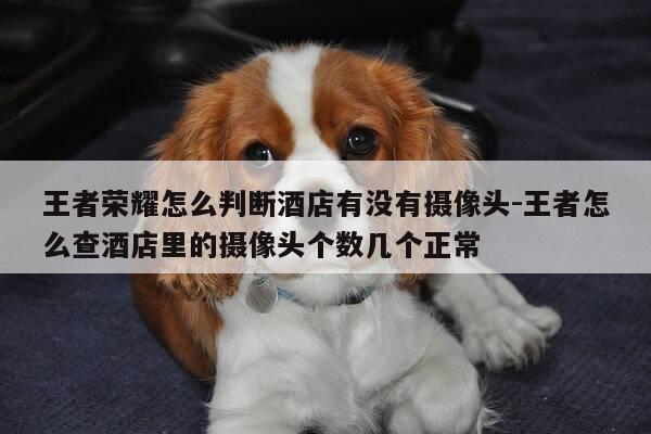 王者荣耀怎么判断酒店有没有摄像头-王者怎么查酒店里的摄像头个数几个正常-第1张图片-优惠活动网 王者荣耀怎么判断酒店有没有摄像头-王者怎么查酒店里的摄像头个数几个正常-第1张图片-优惠活动网