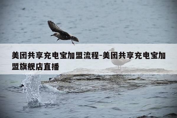 美团共享充电宝加盟流程-美团共享充电宝加盟旗舰店直播-第1张图片-优惠活动网 美团共享充电宝加盟流程-美团共享充电宝加盟旗舰店直播-第1张图片-优惠活动网