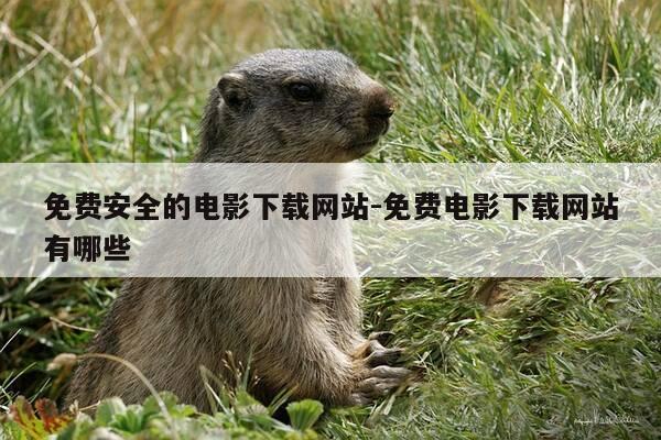 免费安全的电影下载网站-免费电影下载网站有哪些-第1张图片-优惠活动网 免费安全的电影下载网站-免费电影下载网站有哪些-第1张图片-优惠活动网
