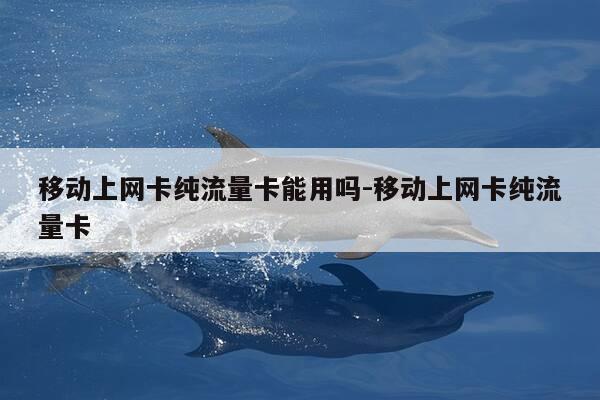 移动上网卡纯流量卡能用吗-移动上网卡纯流量卡-第1张图片-优惠活动网