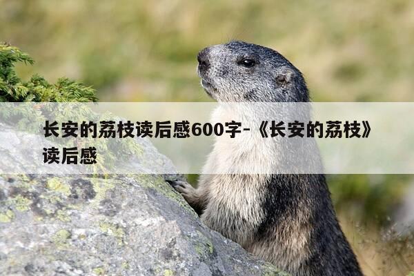 长安的荔枝读后感600字-《长安的荔枝》读后感-第1张图片-优惠活动网 长安的荔枝读后感600字-《长安的荔枝》读后感-第1张图片-优惠活动网