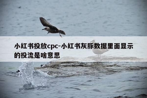 小红书投放cpc-小红书灰豚数据里面显示的投流是啥意思-第1张图片-优惠活动网