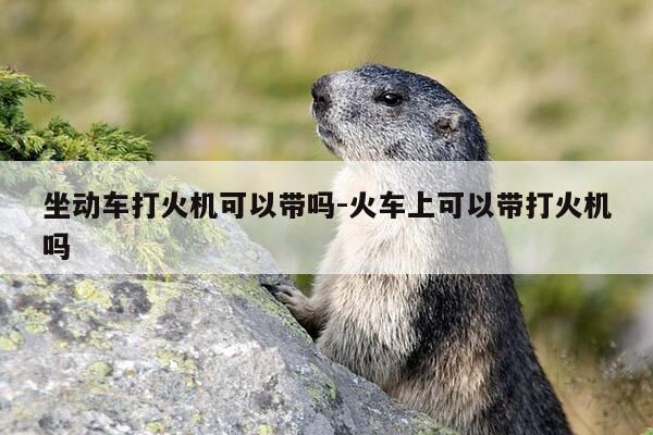 坐动车打火机可以带吗-火车上可以带打火机吗-第1张图片-优惠活动网 坐动车打火机可以带吗-火车上可以带打火机吗-第1张图片-优惠活动网