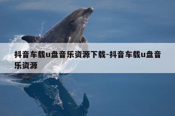 抖音车载u盘音乐资源下载-抖音车载u盘音乐资源-第1张图片-优惠活动网