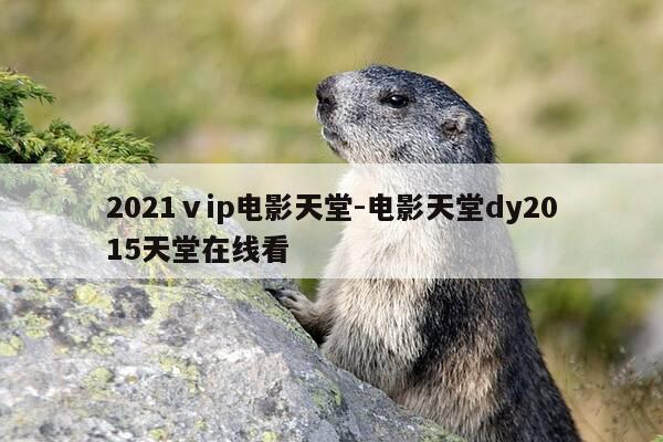 2021ⅴip电影天堂-电影天堂dy2015天堂在线看-第1张图片-优惠活动网
