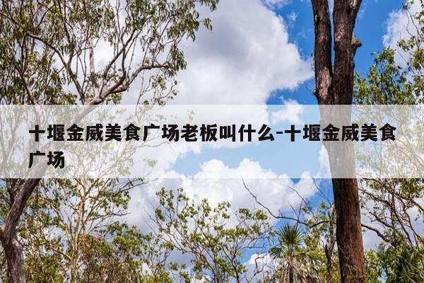 十堰金威美食广场老板叫什么-十堰金威美食广场-第1张图片-优惠活动网