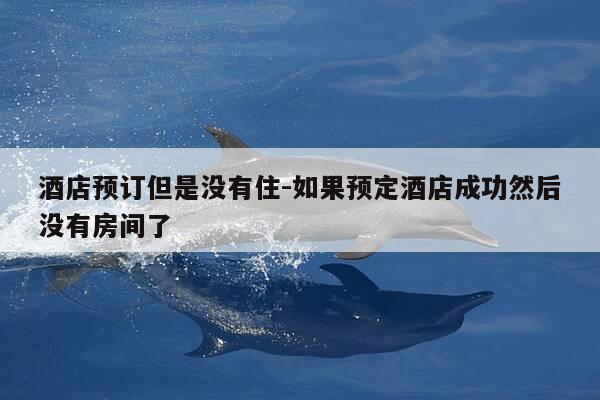 酒店预订但是没有住-如果预定酒店成功然后没有房间了-第1张图片-优惠活动网