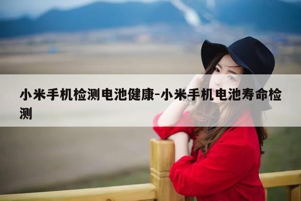 小米手机检测电池健康-小米手机电池寿命检测-第1张图片-优惠活动网