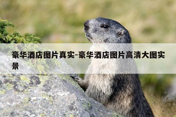 豪华酒店图片真实-豪华酒店图片高清大图实景-第1张图片-优惠活动网 豪华酒店图片真实-豪华酒店图片高清大图实景-第1张图片-优惠活动网