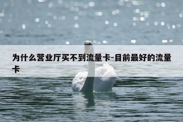 为什么营业厅买不到流量卡-目前最好的流量卡-第1张图片-优惠活动网 为什么营业厅买不到流量卡-目前最好的流量卡-第1张图片-优惠活动网