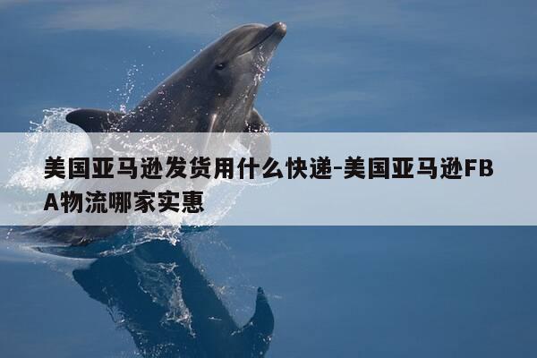 美国亚马逊发货用什么快递-美国亚马逊FBA物流哪家实惠-第1张图片-优惠活动网 美国亚马逊发货用什么快递-美国亚马逊FBA物流哪家实惠-第1张图片-优惠活动网