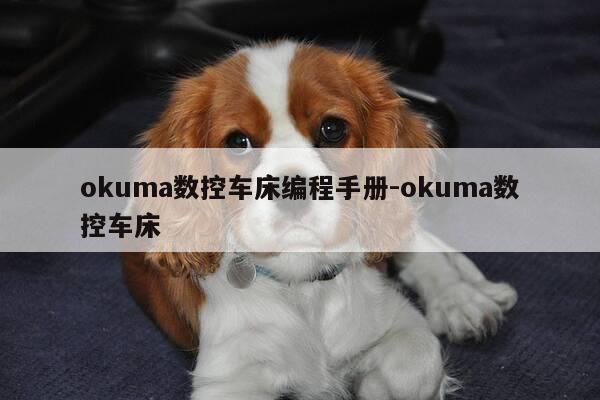 okuma数控车床编程手册-okuma数控车床-第1张图片-优惠活动网 okuma数控车床编程手册-okuma数控车床-第1张图片-优惠活动网