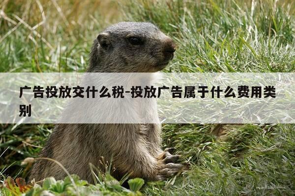 广告投放交什么税-投放广告属于什么费用类别-第1张图片-优惠活动网