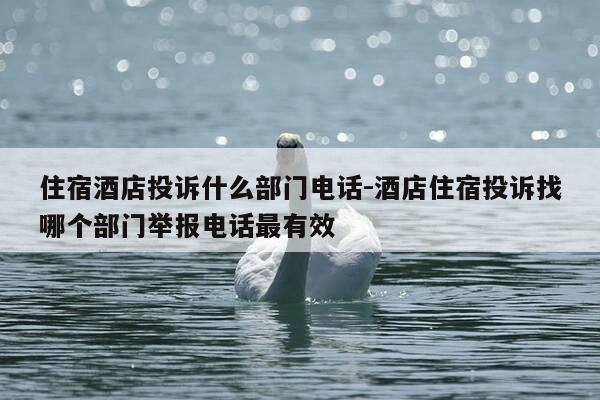 住宿酒店投诉什么部门电话-酒店住宿投诉找哪个部门举报电话最有效-第1张图片-优惠活动网 住宿酒店投诉什么部门电话-酒店住宿投诉找哪个部门举报电话最有效-第1张图片-优惠活动网