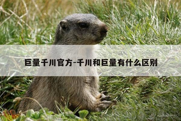 巨量千川官方-千川和巨量有什么区别-第1张图片-优惠活动网 巨量千川官方-千川和巨量有什么区别-第1张图片-优惠活动网