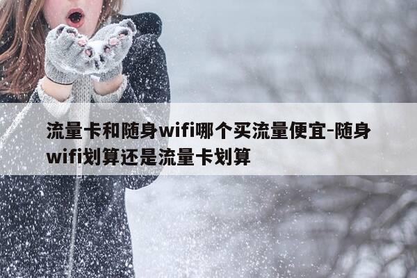 流量卡和随身wifi哪个买流量便宜-随身wifi划算还是流量卡划算-第1张图片-优惠活动网