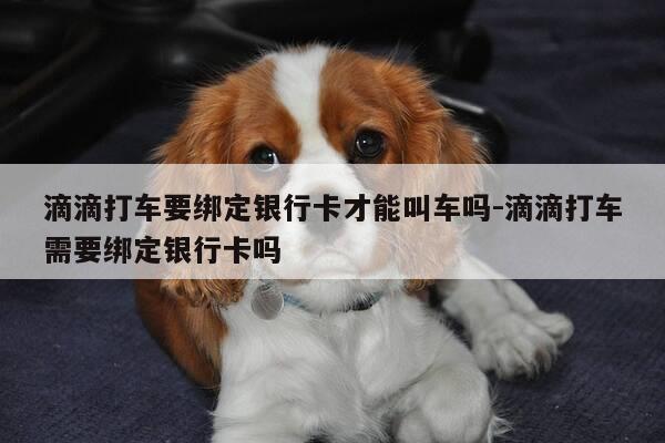 滴滴打车要绑定银行卡才能叫车吗-滴滴打车需要绑定银行卡吗-第1张图片-优惠活动网