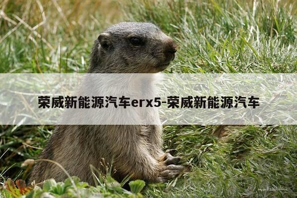 荣威新能源汽车erx5-荣威新能源汽车-第1张图片-优惠活动网