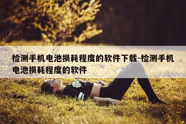 检测手机电池损耗程度的软件下载-检测手机电池损耗程度的软件-第1张图片-优惠活动网