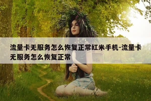 流量卡无服务怎么恢复正常红米手机-流量卡无服务怎么恢复正常-第1张图片-优惠活动网
