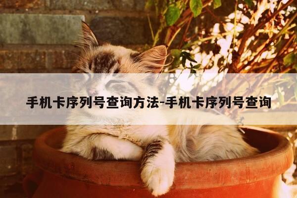 手机卡序列号查询方法-手机卡序列号查询-第1张图片-优惠活动网