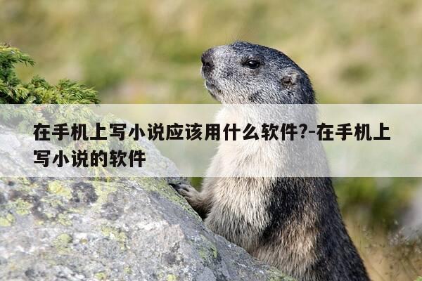 在手机上写小说应该用什么软件?-在手机上写小说的软件-第1张图片-优惠活动网