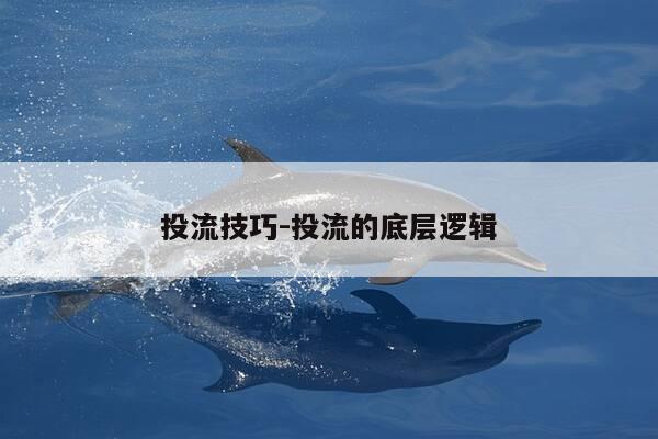 投流技巧-投流的底层逻辑-第1张图片-优惠活动网