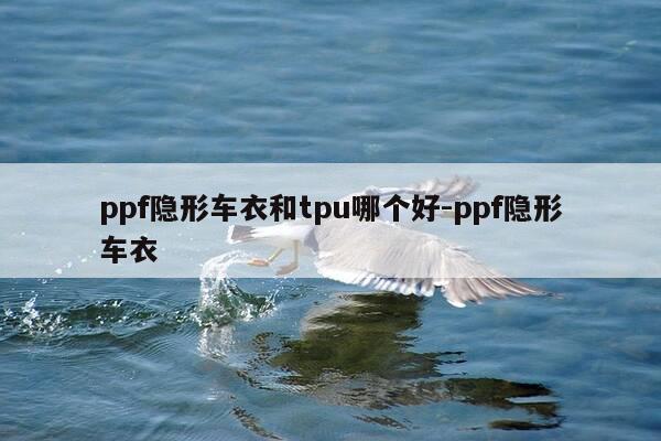 ppf隐形车衣和tpu哪个好-ppf隐形车衣-第1张图片-优惠活动网 ppf隐形车衣和tpu哪个好-ppf隐形车衣-第1张图片-优惠活动网