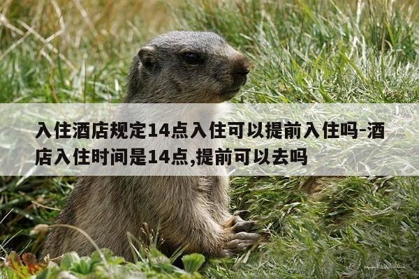入住酒店规定14点入住可以提前入住吗-酒店入住时间是14点,提前可以去吗-第1张图片-优惠活动网