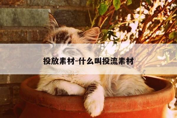 投放素材-什么叫投流素材-第1张图片-优惠活动网 投放素材-什么叫投流素材-第1张图片-优惠活动网