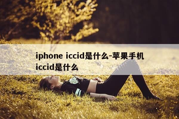 iphone iccid是什么-苹果手机iccid是什么-第1张图片-优惠活动网