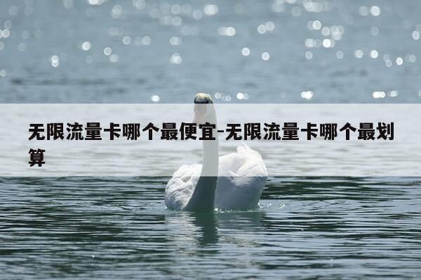 无限流量卡哪个最便宜-无限流量卡哪个最划算-第1张图片-优惠活动网 无限流量卡哪个最便宜-无限流量卡哪个最划算-第1张图片-优惠活动网