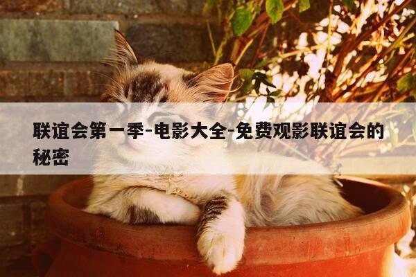 联谊会第一季-电影大全-免费观影联谊会的秘密-第1张图片-优惠活动网