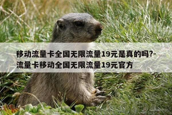 移动流量卡全国无限流量19元是真的吗?-流量卡移动全国无限流量19元官方-第1张图片-优惠活动网 移动流量卡全国无限流量19元是真的吗?-流量卡移动全国无限流量19元官方-第1张图片-优惠活动网