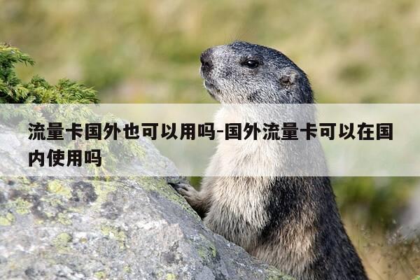 流量卡国外也可以用吗-国外流量卡可以在国内使用吗-第1张图片-优惠活动网