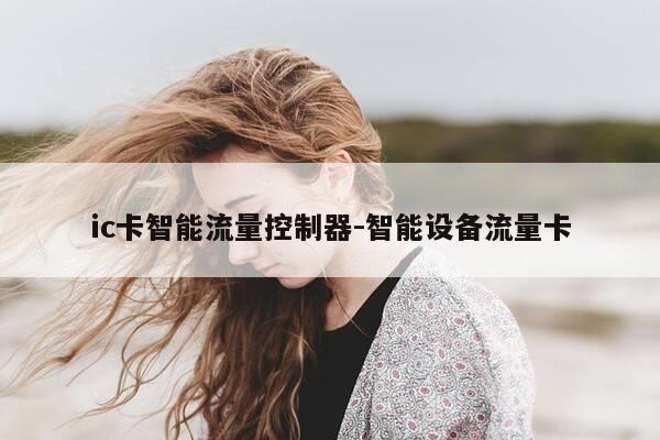 ic卡智能流量控制器-智能设备流量卡-第1张图片-优惠活动网 ic卡智能流量控制器-智能设备流量卡-第1张图片-优惠活动网