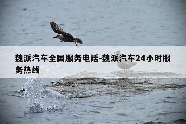 魏派汽车全国服务电话-魏派汽车24小时服务热线-第1张图片-优惠活动网 魏派汽车全国服务电话-魏派汽车24小时服务热线-第1张图片-优惠活动网