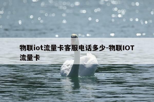 物联iot流量卡客服电话多少-物联IOT流量卡-第1张图片-优惠活动网
