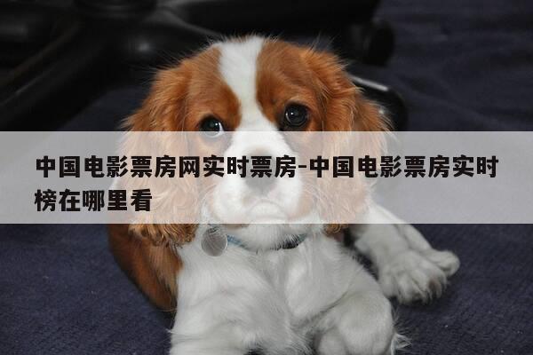 中国电影票房网实时票房-中国电影票房实时榜在哪里看-第1张图片-优惠活动网