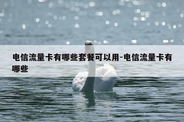 电信流量卡有哪些套餐可以用-电信流量卡有哪些-第1张图片-优惠活动网