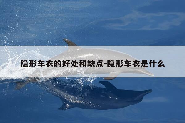 隐形车衣的好处和缺点-隐形车衣是什么-第1张图片-优惠活动网 隐形车衣的好处和缺点-隐形车衣是什么-第1张图片-优惠活动网