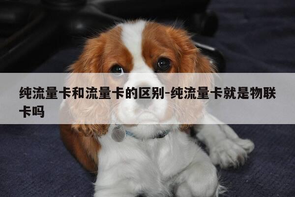 纯流量卡和流量卡的区别-纯流量卡就是物联卡吗-第1张图片-优惠活动网